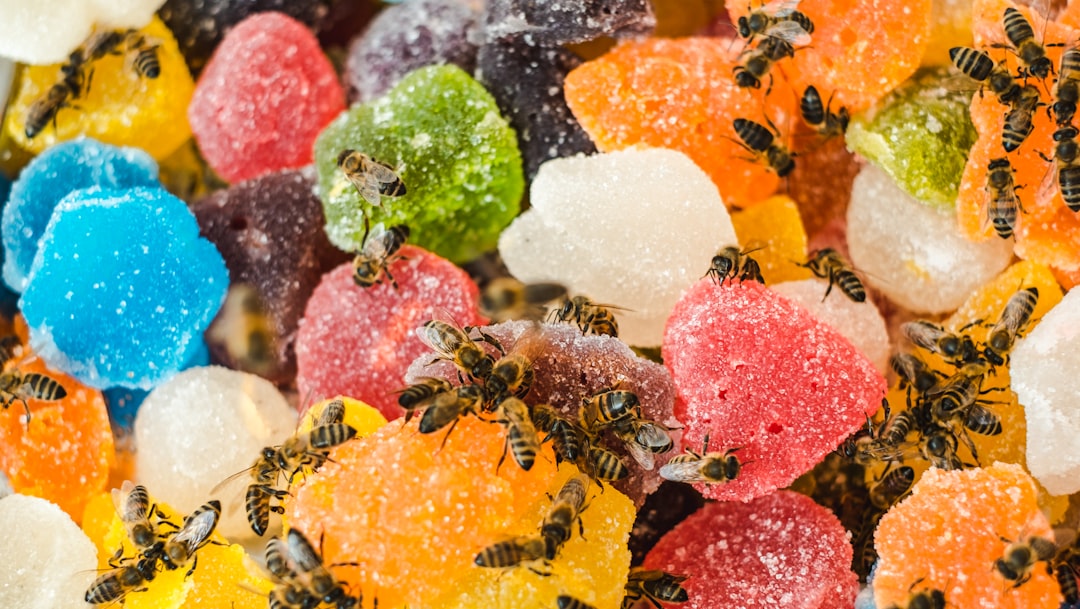 Delicious and Fun: Exploring the World of Jelly Fruits